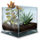 Succulent-Terrarium-icon
