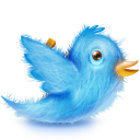 twitter-bird