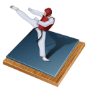 taekwondo-icon