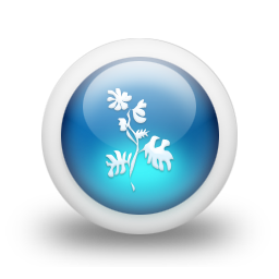 048885-3d-glossy-blue-orb-icon-natural-wonders-flower22-sc44.png