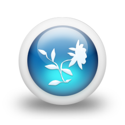 048897-3d-glossy-blue-orb-icon-natural-wonders-flower8.png