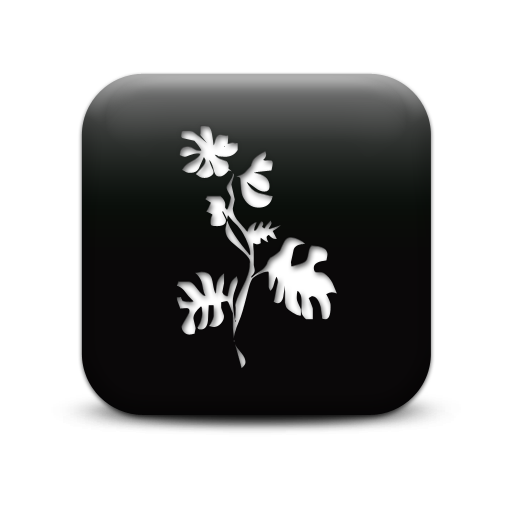 127246-simple-black-square-icon-natural-wonders-flower22-sc44.png