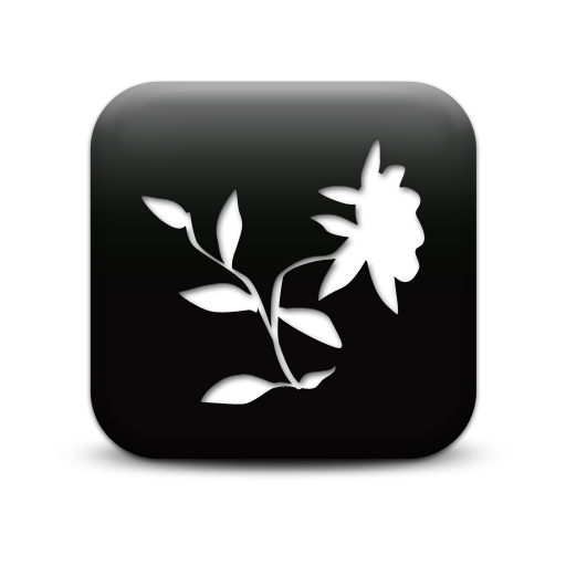 127258-simple-black-square-icon-natural-wonders-flower8.png