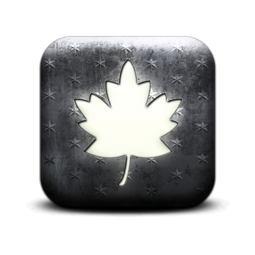 131152-whitewashed-star-patterned-icon-natural-wonders-leaf3.png